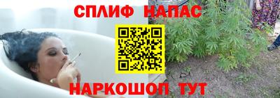 гидра Кулебаки