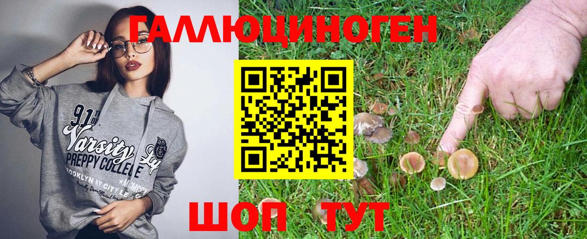Псилоцибиновые грибы прущие грибы Кизляр
